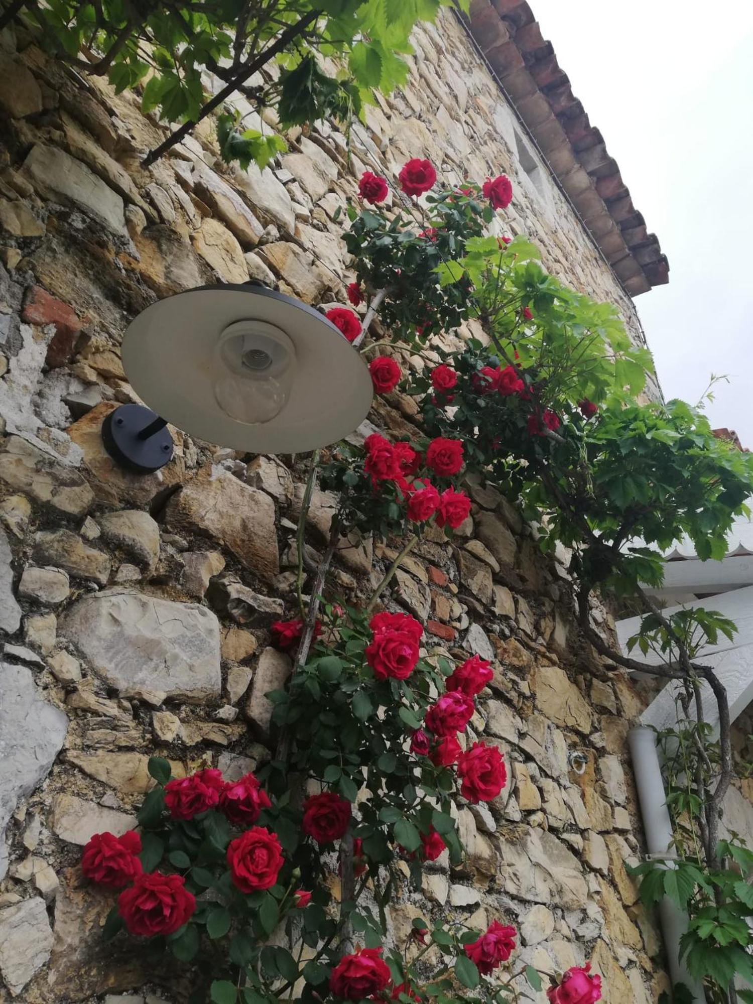 Magnanerie Le Mas D'Elise Boisset-et-Gaujac Exterior foto